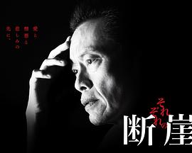 各自的断崖 各自的断崖