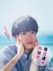 往这边看向井君 往这边看向井君